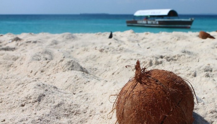 TRAVEL TIPS FROM WILDMAPS TRAVEL