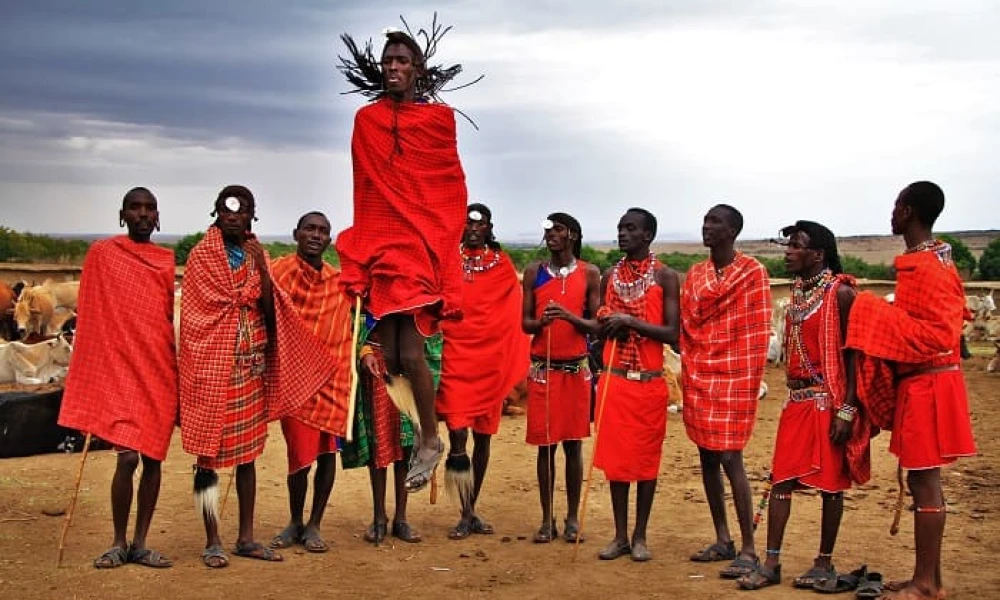 Specialized Wildlife and Cultural Safari in Northern Tanzania: Conservation Focus