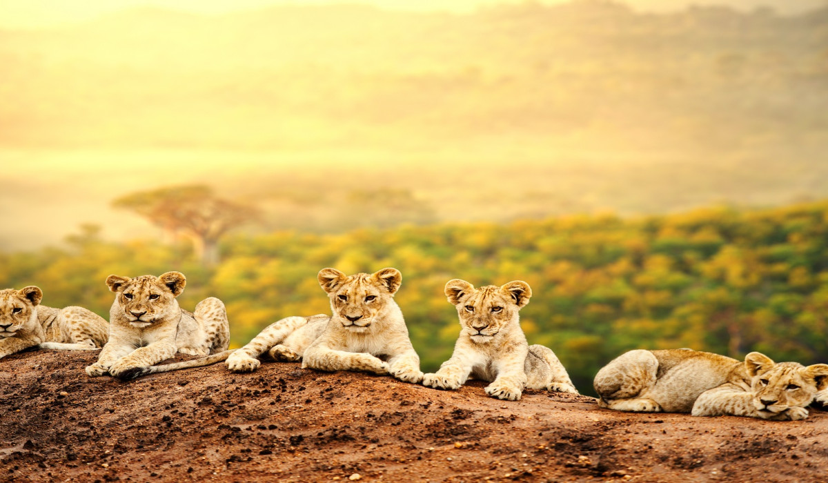 Travel DMC was created by two women with a shared vision