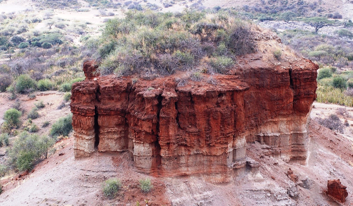 Why Choose Roar of Serengeti Safaris?